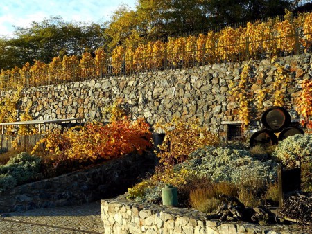 botanicka-zahrada-hl-m-prahy-troja-fata-morgana